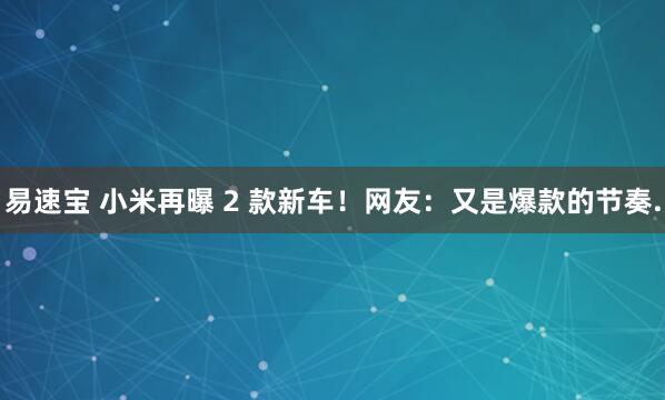易速宝 小米再曝 2 款新车！网友：又是爆款的节奏.