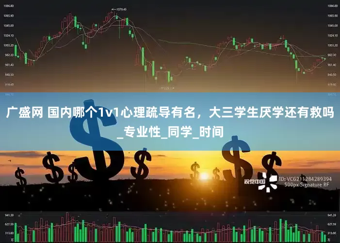 广盛网 国内哪个1v1心理疏导有名，大三学生厌学还有救吗_专业性_同学_时间