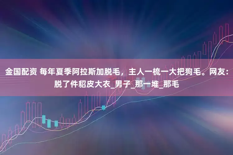 金国配资 每年夏季阿拉斯加脱毛，主人一梳一大把狗毛。网友：脱了件貂皮大衣_男子_那一堆_那毛