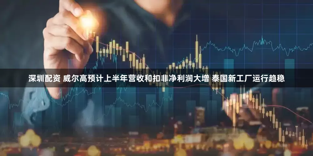 深圳配资 威尔高预计上半年营收和扣非净利润大增 泰国新工厂运行趋稳