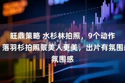 旺鼎策略 水杉林拍照，9个动作，落羽杉拍照景美人更美，出片有氛围感